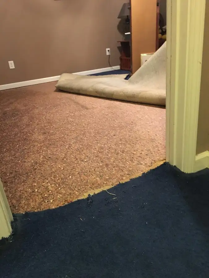 Carpet pad removal revealing water damage during Water Mitigation Services in Anniston
