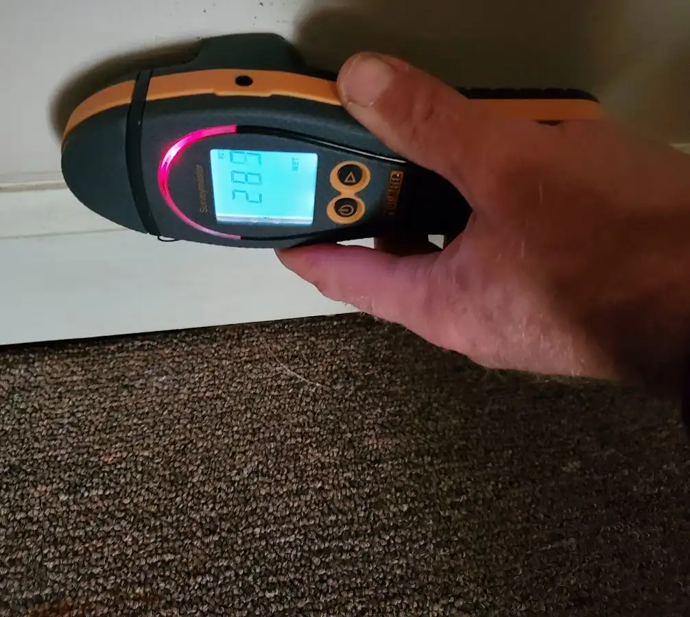 Moisture detection at baseboard during Sewage Cleanup & Sanitation in Anniston
